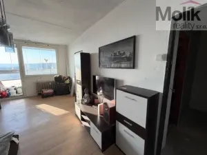 Prodej bytu 1+1, Most, Rozmarýnová, 36 m2