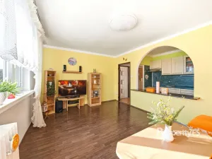 Prodej bytu 4+kk, Litoměřice - Předměstí, Družstevní, 64 m2