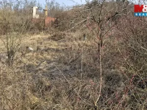 Prodej zahrady, Štětí, 1018 m2