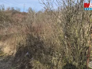 Prodej zahrady, Štětí, 1018 m2