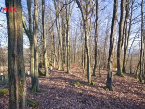 Prodej pozemku pro bydlení, Březnice, 1860 m2