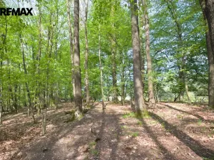 Prodej pozemku pro bydlení, Březnice, 1697 m2