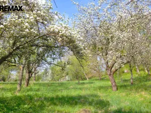 Prodej pozemku pro bydlení, Březnice, 1697 m2