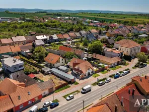 Prodej rodinného domu, Veselí nad Moravou, Zarazická, 266 m2