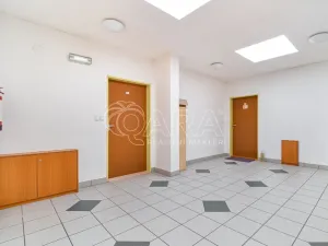 Pronájem bytu 2+kk, Ostrava - Mariánské Hory, Jiřího Trnky, 44 m2