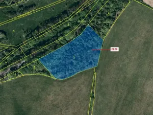 Dražba lesa, Budišov nad Budišovkou, 7776 m2