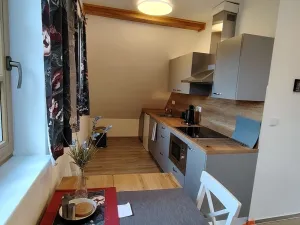 Prodej rodinného domu, Orlické Záhoří, 184 m2