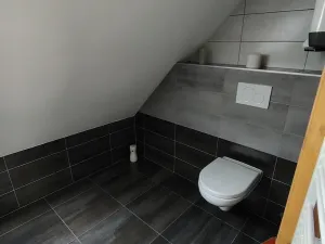 Prodej rodinného domu, Orlické Záhoří, 184 m2