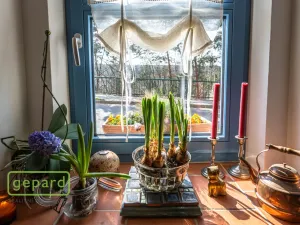 Prodej rodinného domu, Olovnice, Kralupská, 164 m2