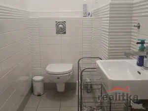 Pronájem bytu 3+1, Opava - Předměstí, Gudrichova, 117 m2