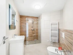 Pronájem bytu 2+kk, Plzeň - Jižní Předměstí, Železná, 52 m2