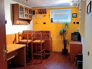 Prodej rodinného domu, Věšín, 264 m2