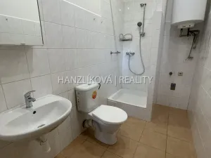 Pronájem bytu 2+1, České Budějovice - České Budějovice 6, Žižkova tř., 47 m2