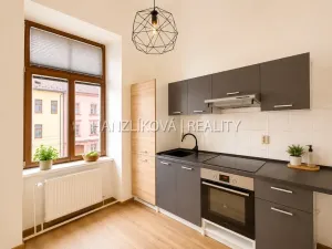 Pronájem bytu 1+1, České Budějovice - České Budějovice 6, Žižkova tř., 47 m2