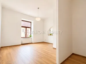 Pronájem bytu 1+1, České Budějovice - České Budějovice 6, Žižkova tř., 47 m2