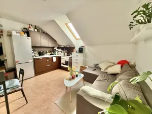 Pronájem bytu 2+kk, Světlá nad Sázavou, Nové Město, 55 m2