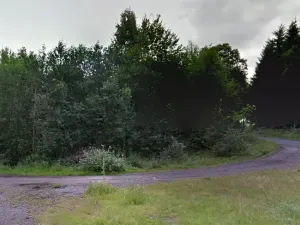 Prodej podílu lesa, Zlatá Olešnice, 574 m2