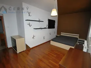 Pronájem bytu 3+kk, Liberec, Pod Rušičkou, 110 m2