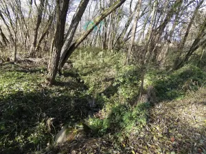 Prodej louky, Kamenice, 1863 m2