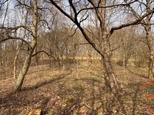 Prodej chalupy, Úhlejov - Chroustov, 55 m2