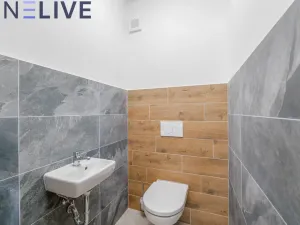 Pronájem rodinného domu, Plzeň, Na Plzeňce, 125 m2