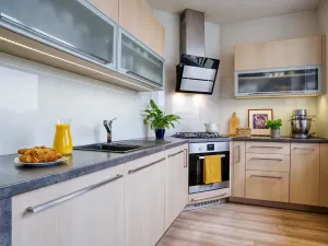 Pronájem bytu 2+kk, Brno, Královopolská, 50 m2