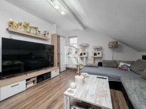 Prodej rodinného domu, Děčín, Březová, 347 m2