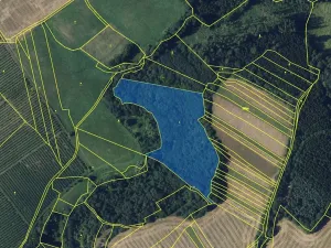 Prodej lesa, Rohozec, 20988 m2