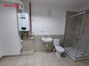 Pronájem obchodního prostoru, Slavkov u Brna, 200 m2
