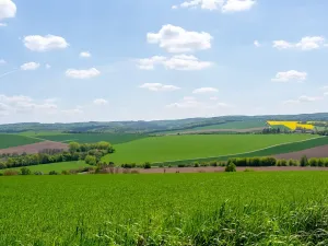 Prodej pozemku pro bydlení, Bučovice, Náhorní, 7851 m2