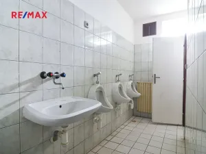 Prodej rodinného domu, Podivín, Rybáře, 170 m2