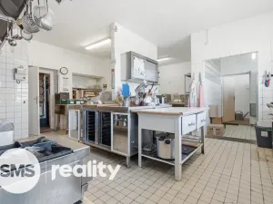 Prodej komerční nemovitosti, Březí, Dunajovická, 476 m2