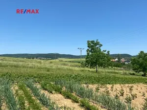 Prodej vinného sklepa, Moravany, 60 m2