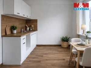 Pronájem bytu 1+1, Ostrava - Zábřeh, Čujkovova, 28 m2