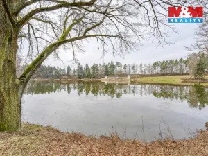 Prodej chaty, Horšovský Týn - Podhájí, 31 m2