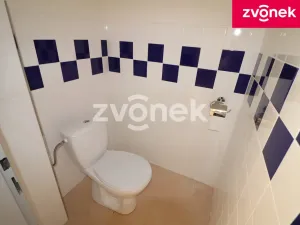 Pronájem bytu 2+kk, Valašské Klobouky, 74 m2