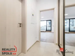 Prodej bytu 1+kk, Plzeň - Jižní Předměstí, Železná, 40 m2