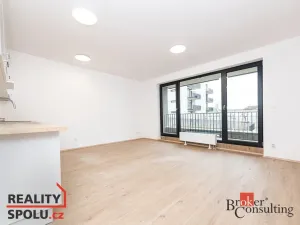Prodej bytu 1+kk, Plzeň - Jižní Předměstí, Železná, 40 m2