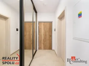 Prodej bytu 1+kk, Plzeň - Jižní Předměstí, Železná, 40 m2