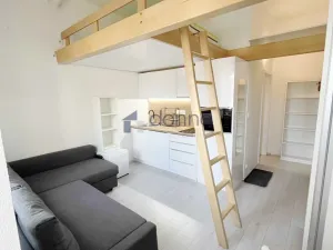 Pronájem bytu 1+kk, Praha, Hejtmánkova, 20 m2