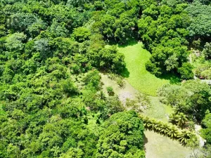 Prodej pozemku, Coxen Hole, Roatán, Honduras, 3265 m2