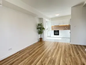 Pronájem bytu 2+kk, Ostrava, Polská, 48 m2