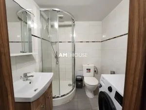 Pronájem bytu 1+1, Praha - Libeň, Ronkova, 35 m2