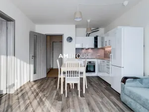 Pronájem bytu 2+kk, Praha - Hloubětín, Poděbradská, 58 m2
