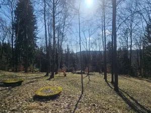 Prodej ubytování, Janov nad Nisou, 635 m2