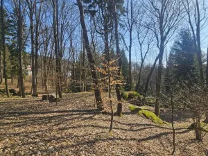 Prodej pozemku pro bydlení, Janov nad Nisou, 8231 m2