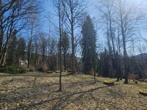 Prodej pozemku pro bydlení, Janov nad Nisou, 11396 m2