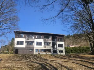 Prodej pozemku pro bydlení, Janov nad Nisou, 11396 m2