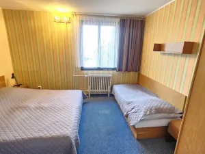 Prodej rodinného domu, Janov nad Nisou, 1047 m2