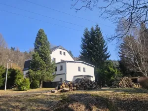 Prodej rodinného domu, Janov nad Nisou, 1047 m2